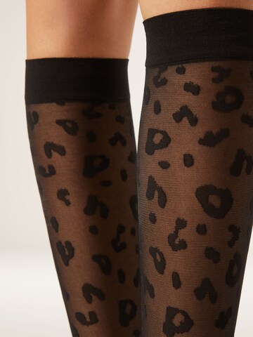 CALZEDONIA Kniefeinstrümpfe in Schwarz