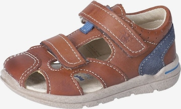 Pepino Sandals & Slippers in Brown: front