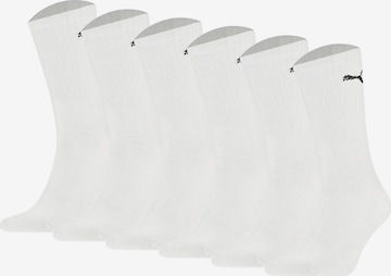 PUMA Sports socks in White: front