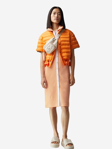 BOGNER Knitted dress 'Ann' in Orange