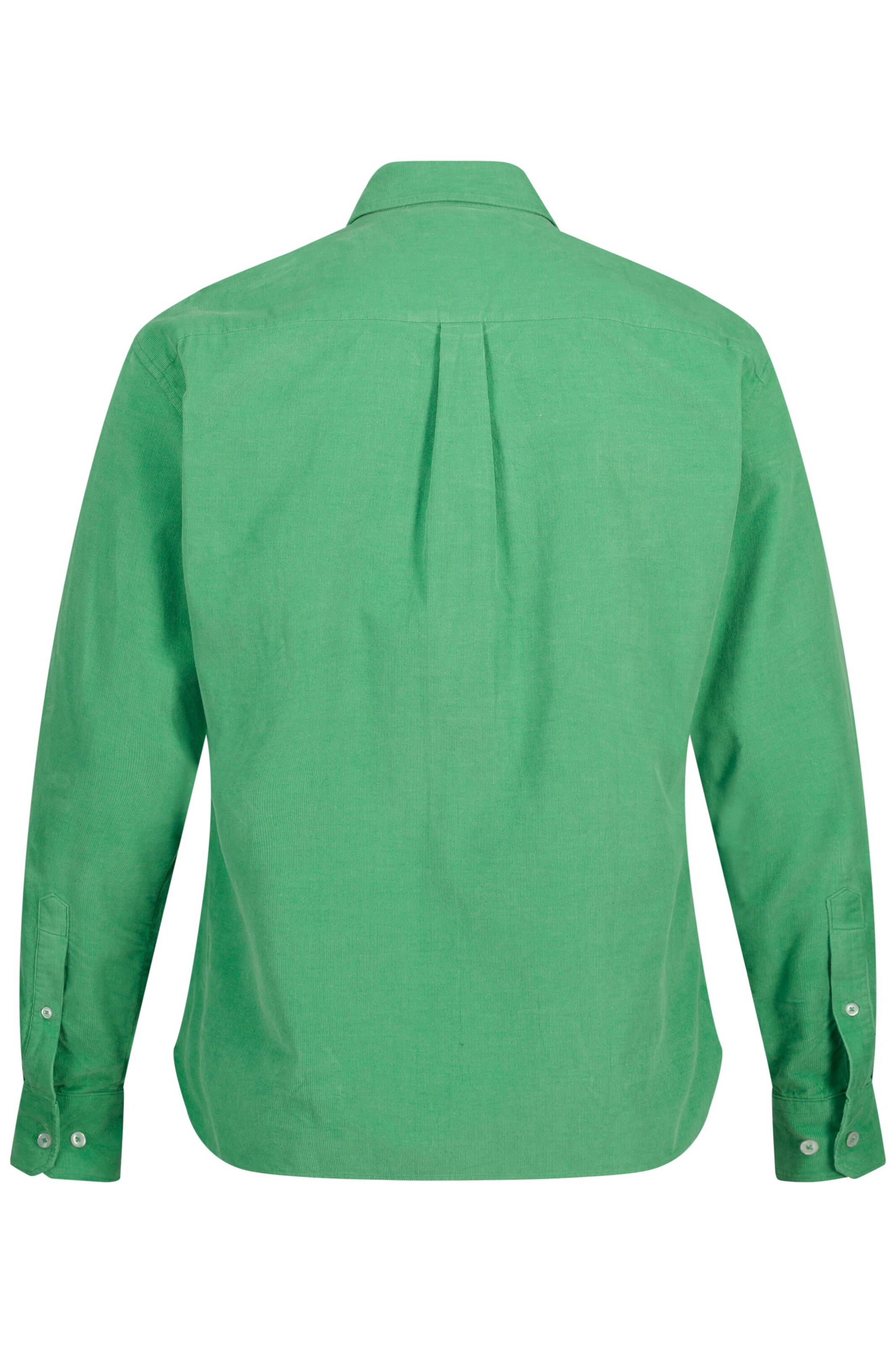 JP1880 Regular fit Button Up Shirt in Green