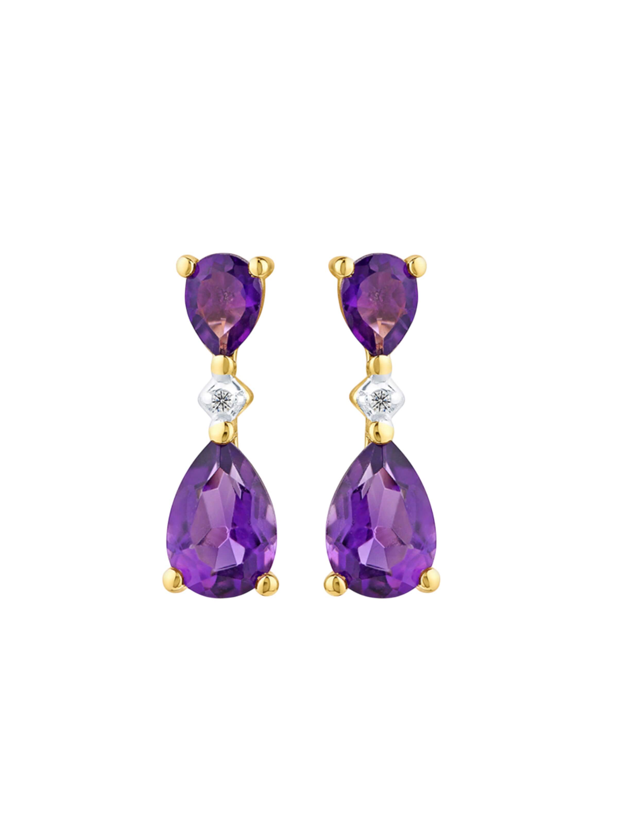 DIAMANT LETERNEL Earrings in Gold: front