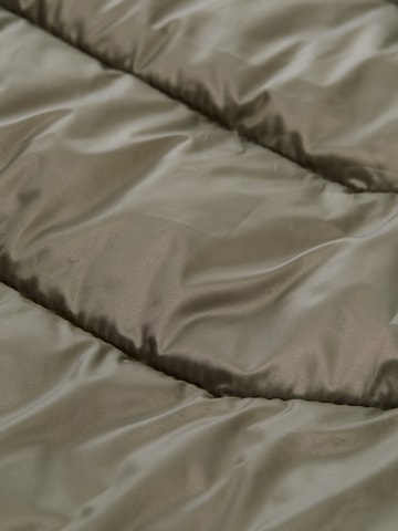 Geacă de primăvară-toamnă de la TOM TAILOR pe verde