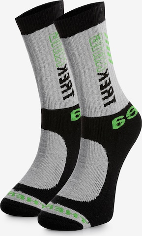 Crea Socks Sportsokken 'PRO-TECH' in Grijs: voorkant