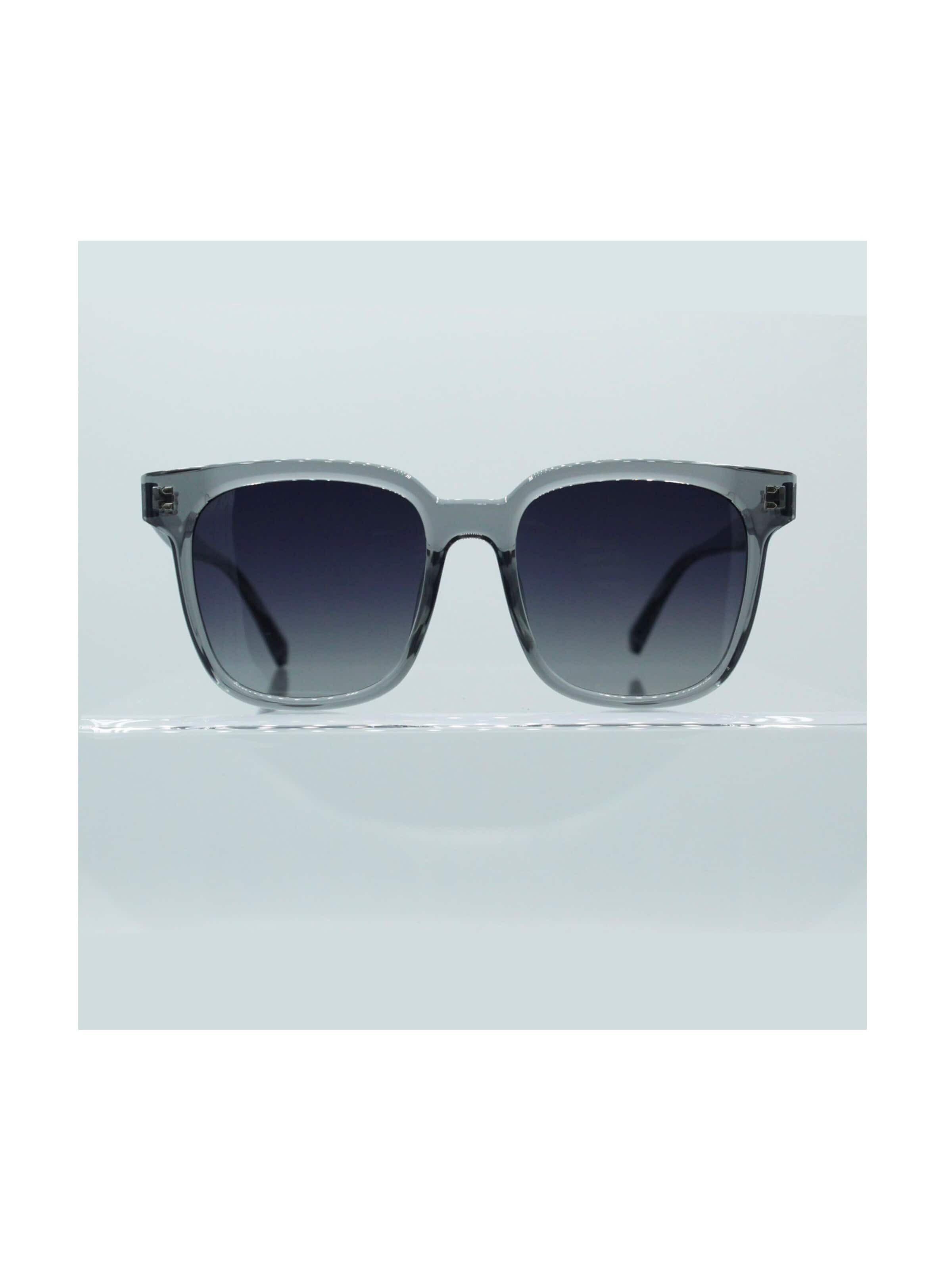 Lunettes de soleil Surf Monkey en gris