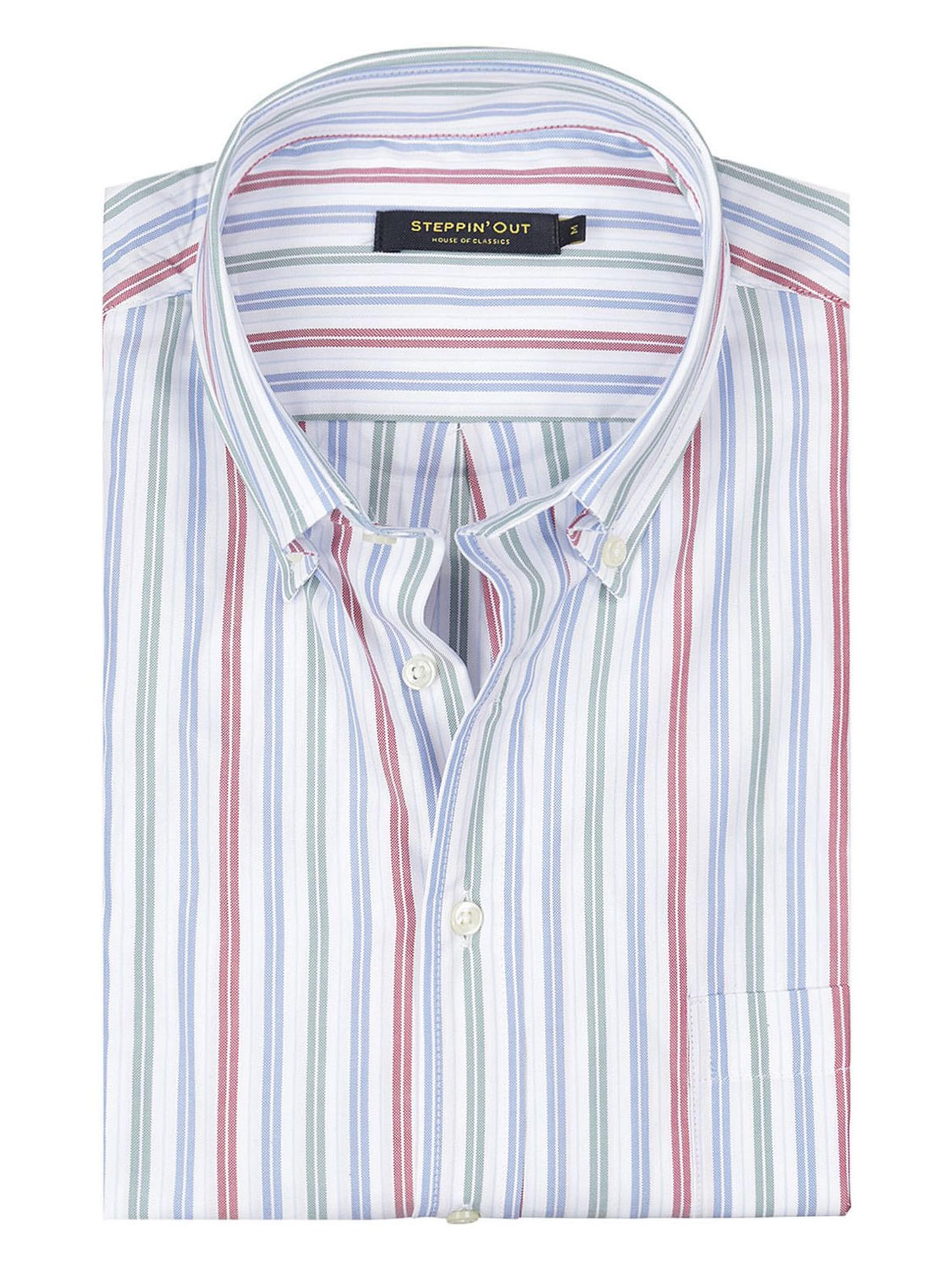 Steppin' out Regular fit Button Up Shirt in Blue