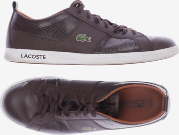 LACOSTE Sneaker 44,5 in Braun: predná strana