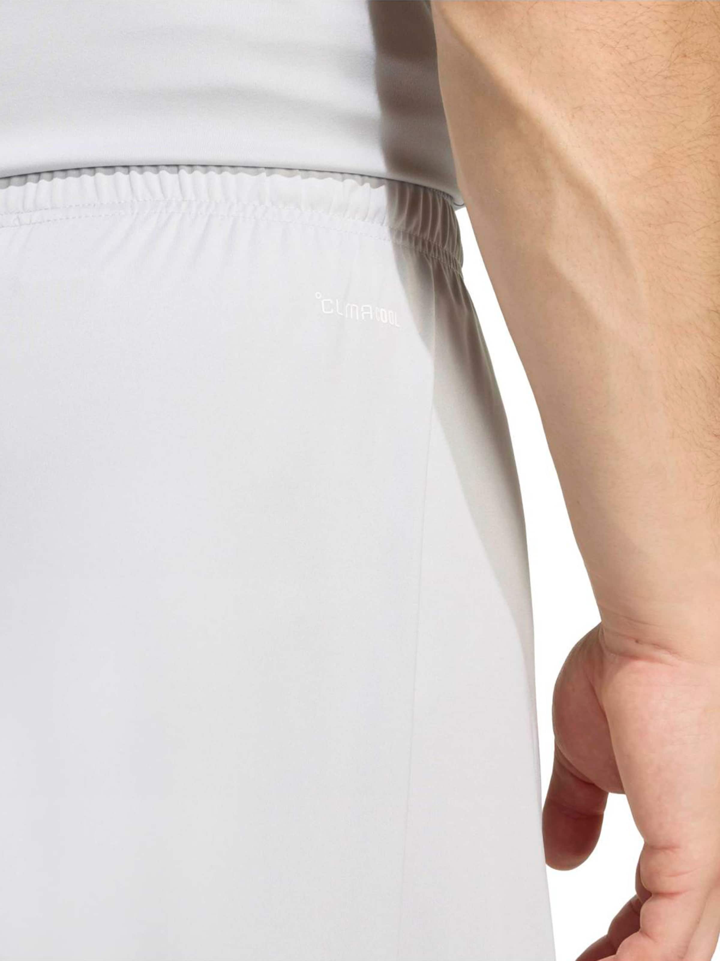 ADIDAS PERFORMANCE - regular Pantalón deportivo 'ENT26' en gris