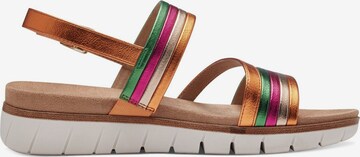 s.Oliver Strap Sandals in Mixed colors