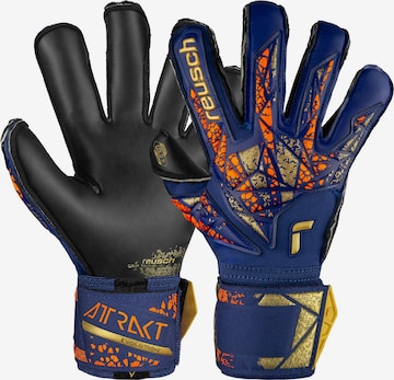 REUSCH Sporthandschoenen 'Attrakt Gold X Evolution' in Blauw: voorkant