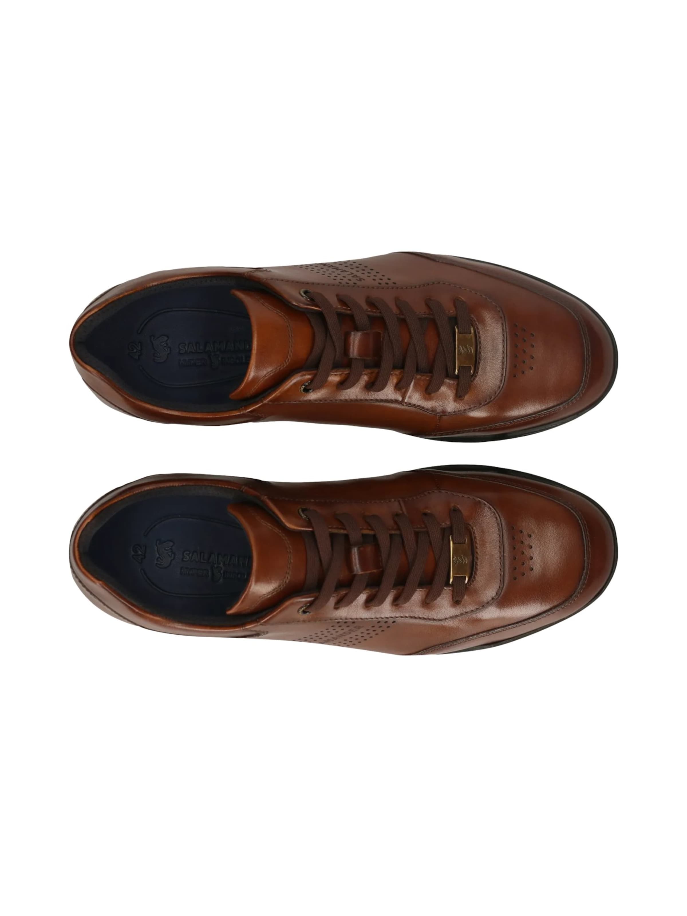 Baskets basses SALAMANDER en marron