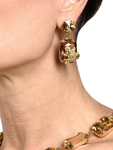 Addicted2 Σκουλαρίκια 'Ginevra orecchini placcati oro 18kt con cristalli oro Swarovski & motivo rana' σε χρυσό: μπροστά