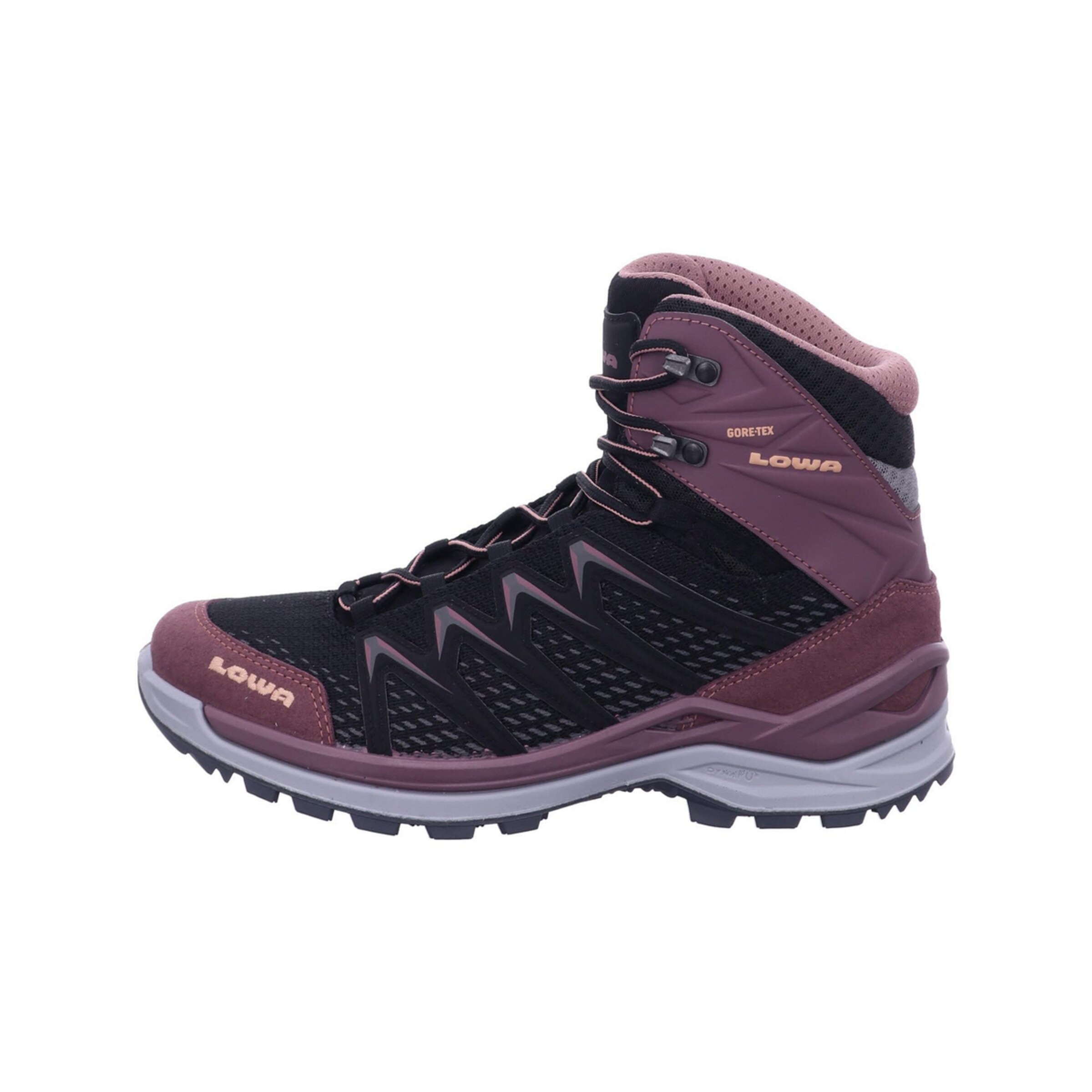 LOWA Boots 'Innox Pro' in Black