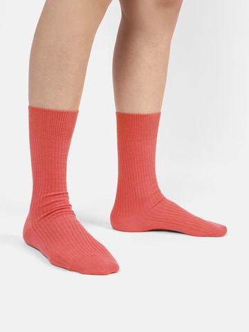 Chaussettes 'Ribbed Just Red' DillySocks en mélange de couleurs : devant