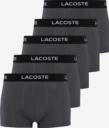 Boxers LACOSTE en gris : devant