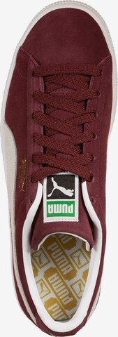 PUMA حذاء رياضي بلا رقبة 'Classic XXI' بلون أحمر