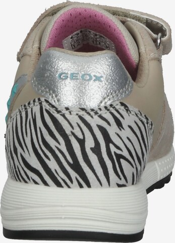 GEOX Sneakers in Beige