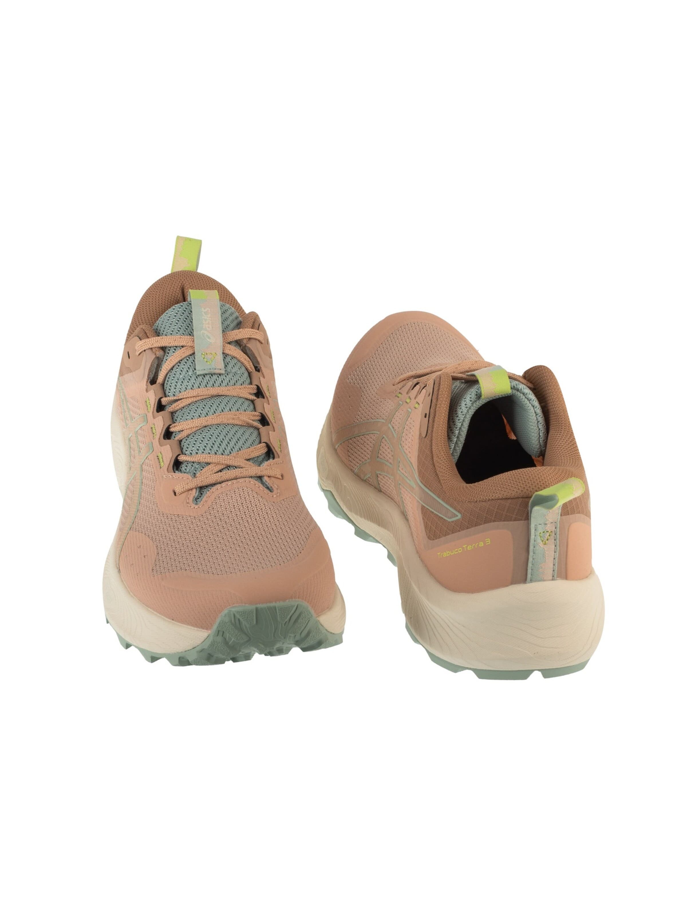 ASICS Loopschoen 'Trabuco Terra 3' in Roze