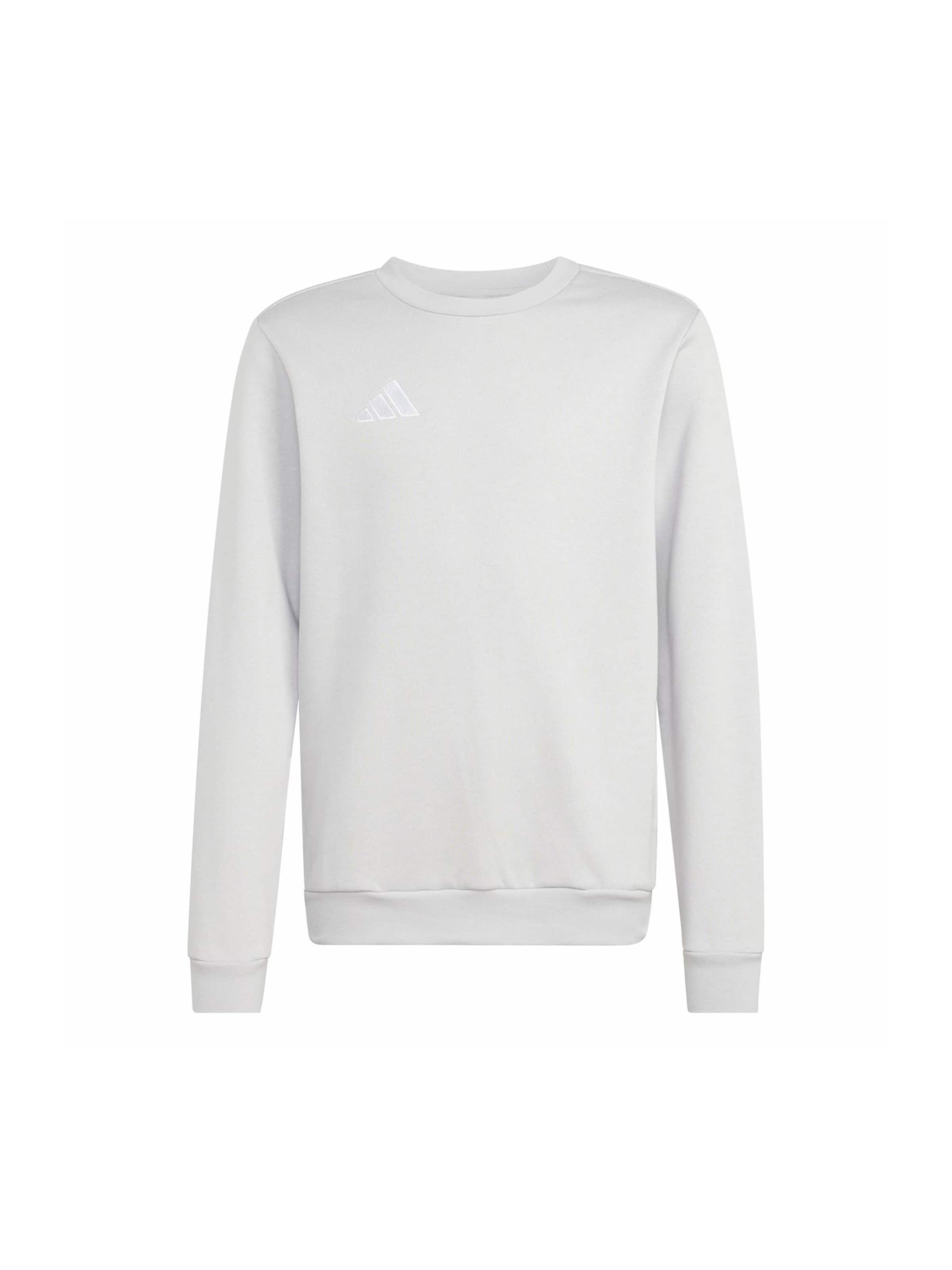 Hanorac sport 'ENT26' de la ADIDAS PERFORMANCE pe gri: față