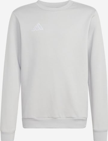 ADIDAS PERFORMANCE Urheilullinen collegepaita 'ENT26' värissä harmaa: etupuoli