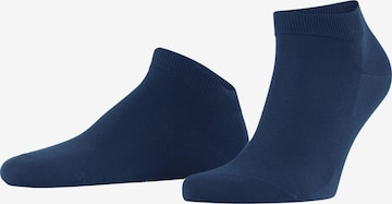 FALKE Socken 'ClimaWool' in Blau: Vorderseite