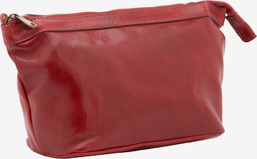 Viola Castellani Clutch in Red: front
