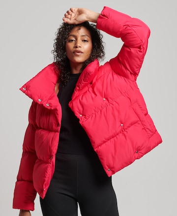 Superdry Winterjacke in Pink: predná strana