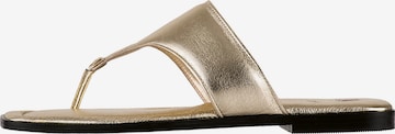 Högl Mules 'NAOMI' in Gold: front