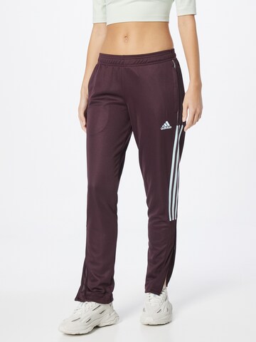 ADIDAS SPORTSWEAR Tapered Sports trousers 'Tiro' in Red: front