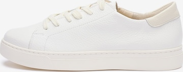 RYLKONiske tenisice - bijela boja: prednji dio