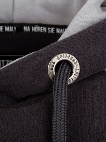 SPITZBUB Sweatshirt 'Tricircle' in Grey