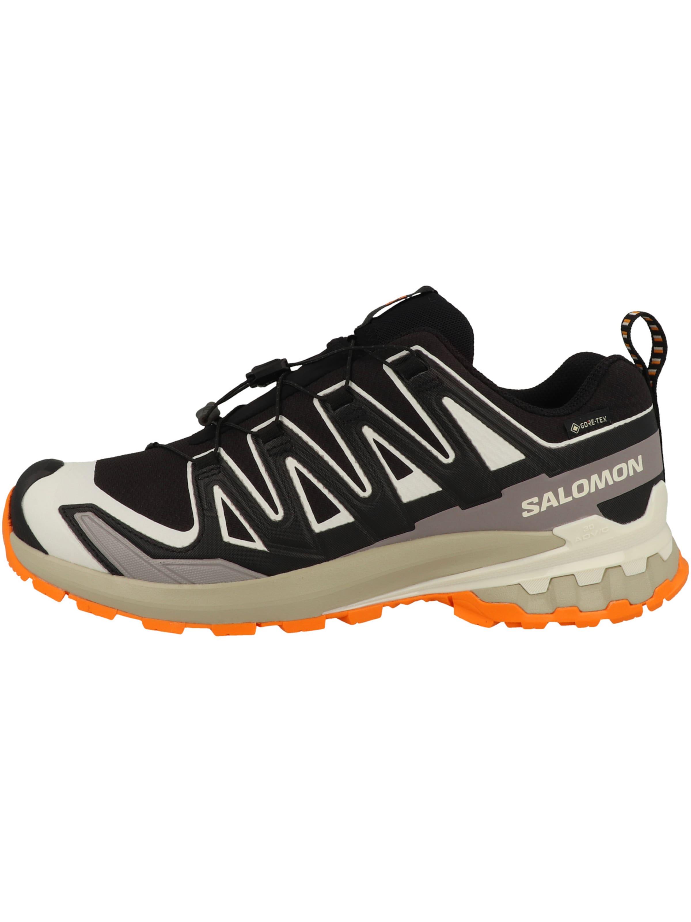 SALOMON Laufschuh 'XA PRO 3D V9' in Schwarz