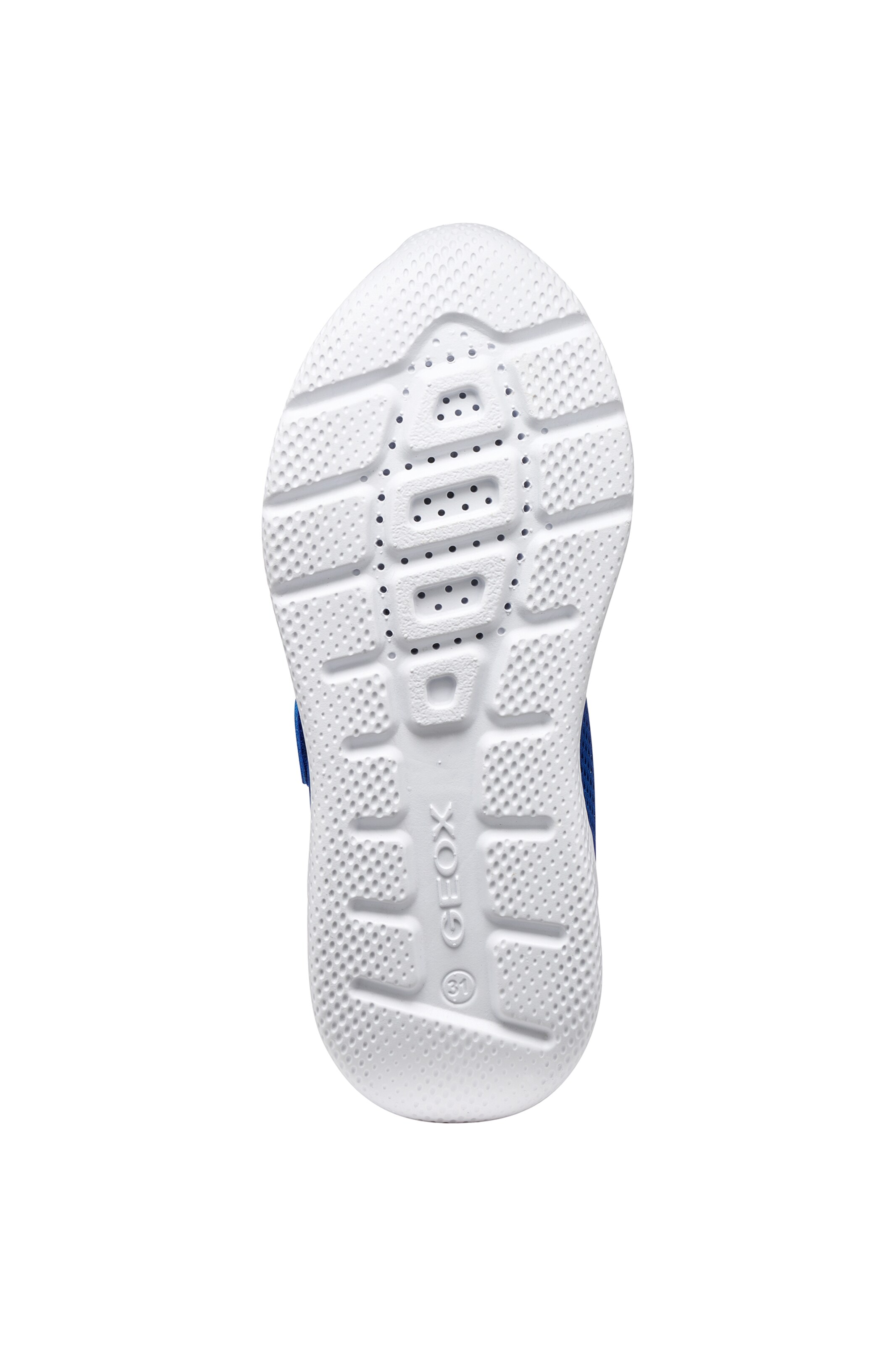 GEOX Sneakers in Blue