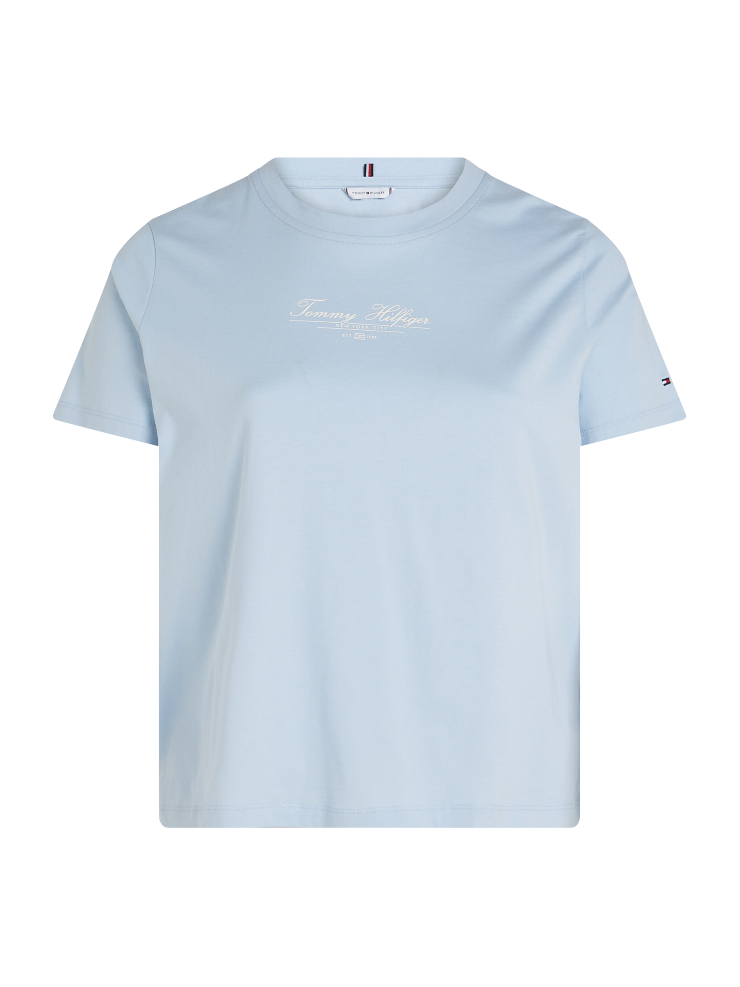 Tommy Hilfiger Curve Shirt in Blue: front