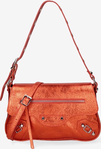 Roberta Rossi Shoulder Bag in Brown: front