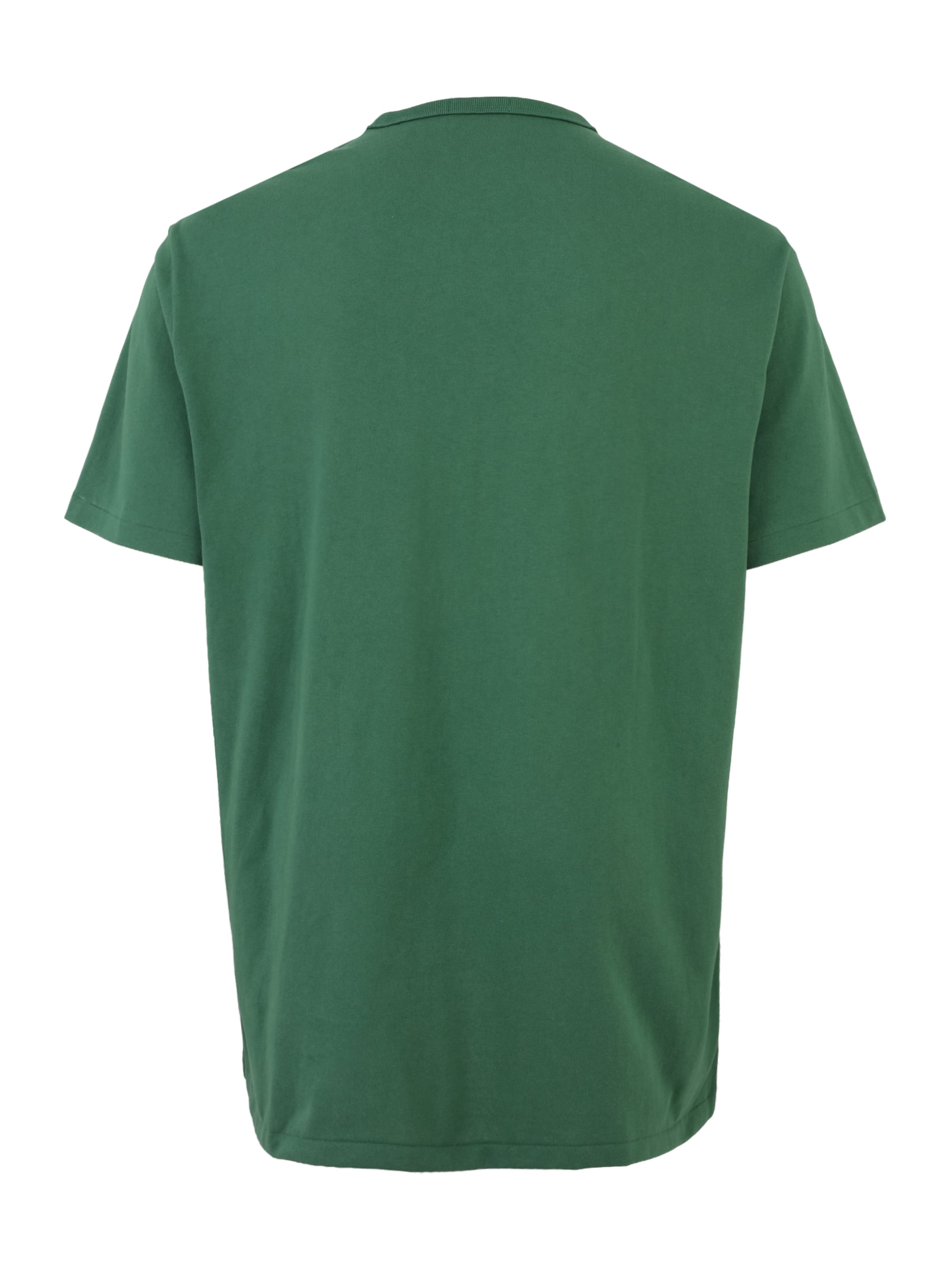 Polo Ralph Lauren Big & Tall Μπλουζάκι σε πράσινο