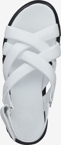 ILC Strap Sandals in White