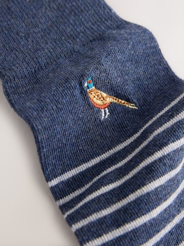 Next Socks in Mixed colours