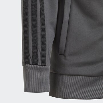 ADIDAS ORIGINALS Strój do biegania 'Adicolor Sst' w kolorze szary