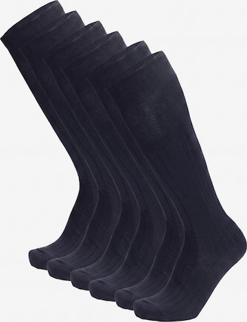 Ciocca Knee High Socks in Blue: front
