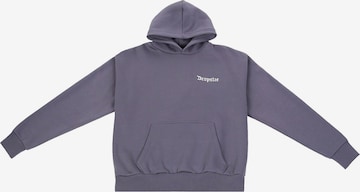 Dropsize Sweatshirt 'Enemies' in Grey: front