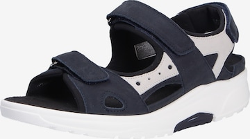 WALDLÄUFER Sandals & Slippers in Blue: front