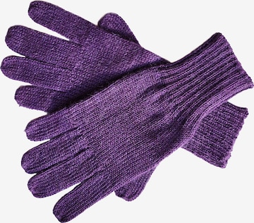 Posh Gear Full Finger Gloves 'Guantino' in Purple: front