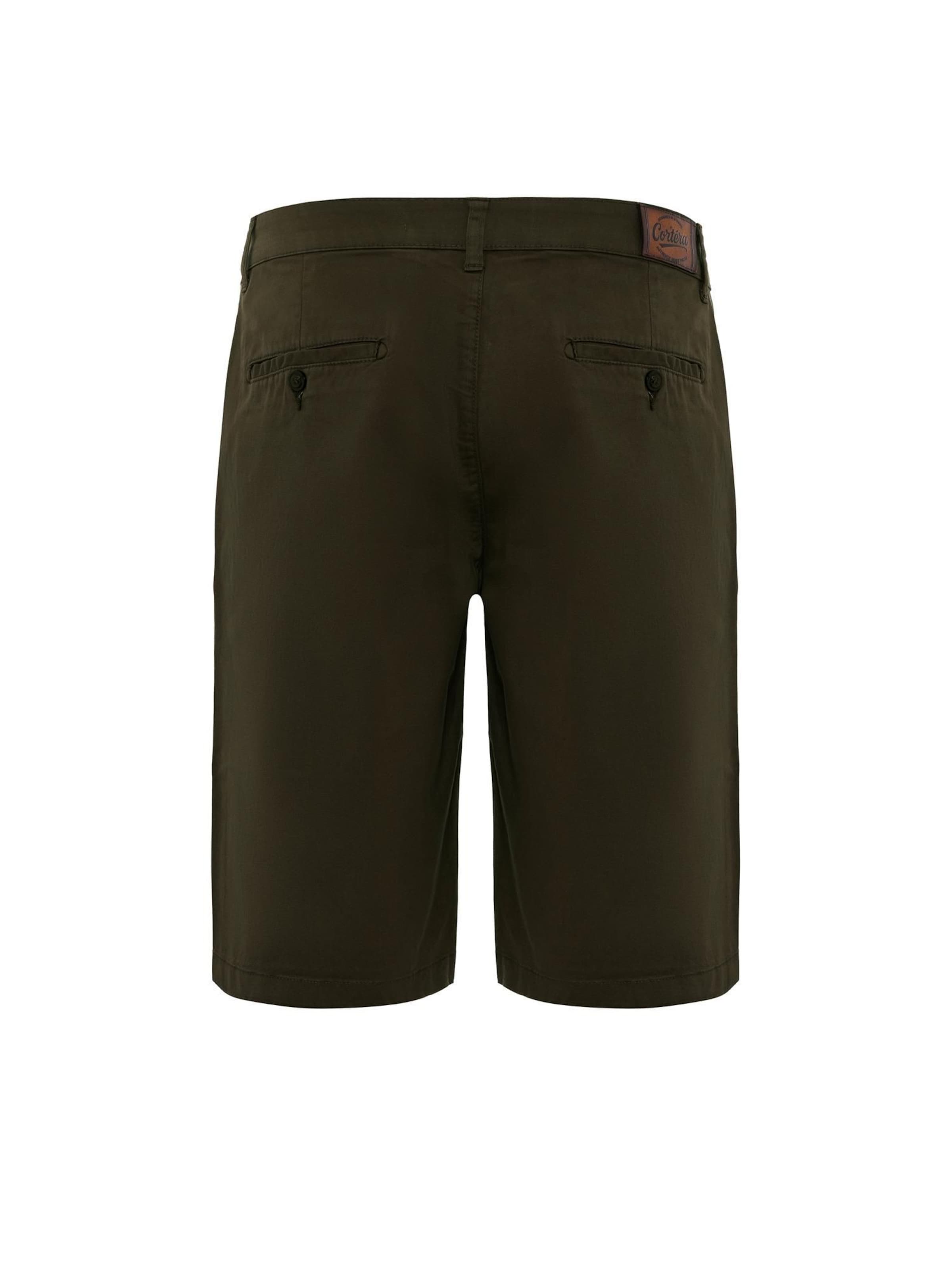 Regular Pantalon 'Noah' Cortera en vert