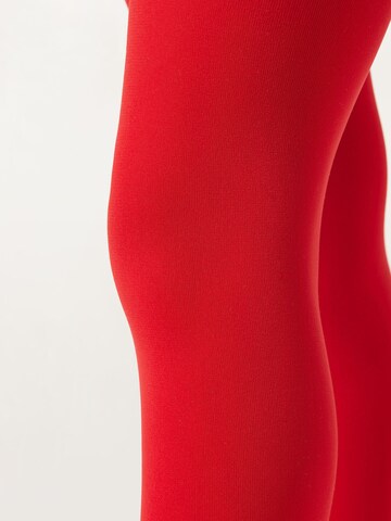 CALZEDONIA Tights in Red