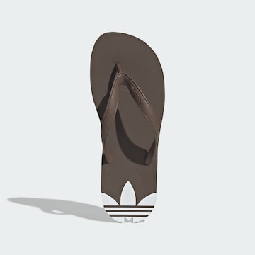 Tongs 'Adi Sun' ADIDAS ORIGINALS en marron