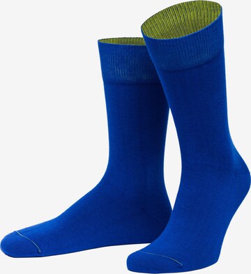 Von Jungfeld Socken in Blau