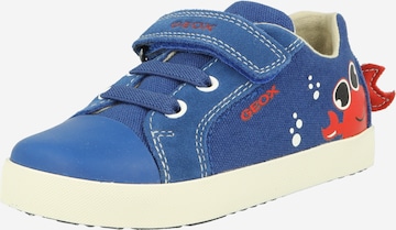 GEOX Sneaker 'KILWI' i blå: framsida