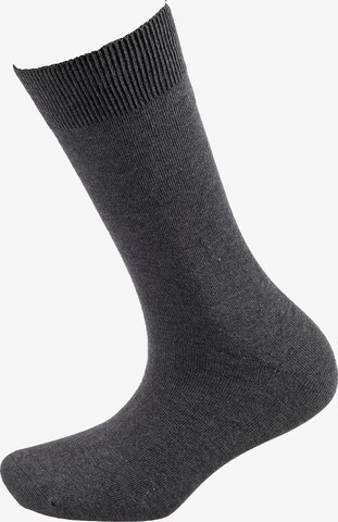 camano Socks in Grey