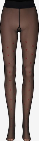 Nur Die - Leotardos finos ' Warm & transparent robust 80 DEN ' en negro: frente